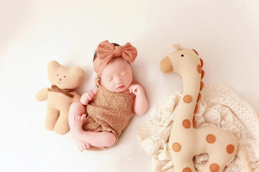 汕头宝宝虾的做法